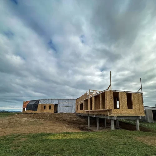 Proyecto FT (Frutillar)