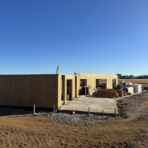 Proyecto RB (Rio Bueno)