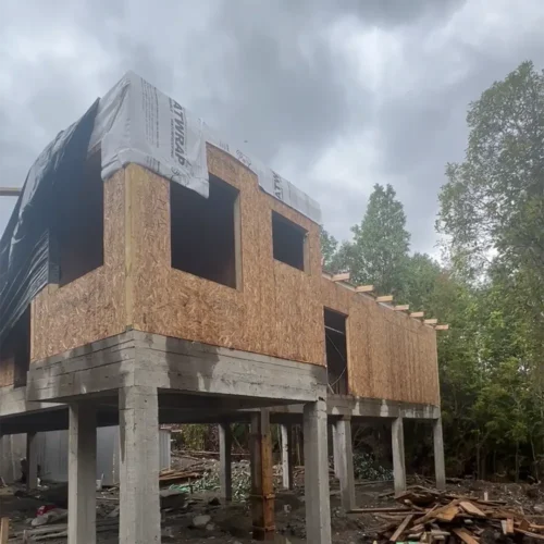 Proyecto MA (Chamiza)