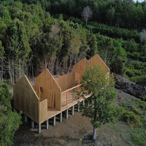 Proyecto RG (Contao)