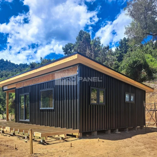 Modelo 56² (Coñaripe)