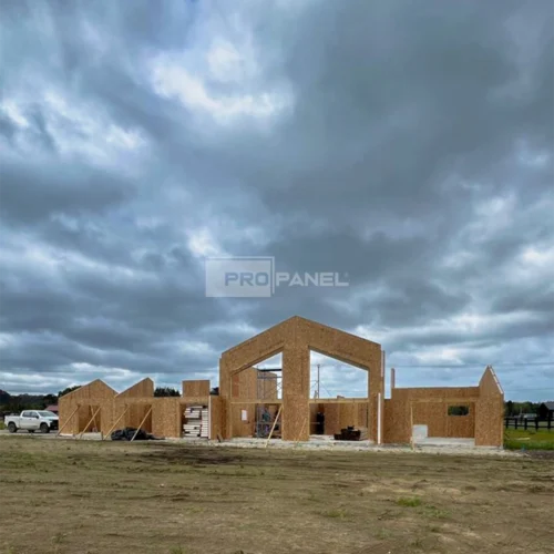 Proyecto NE (Chamiza)