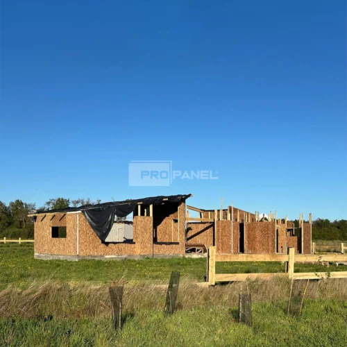 Proyecto FG (Frutillar)
